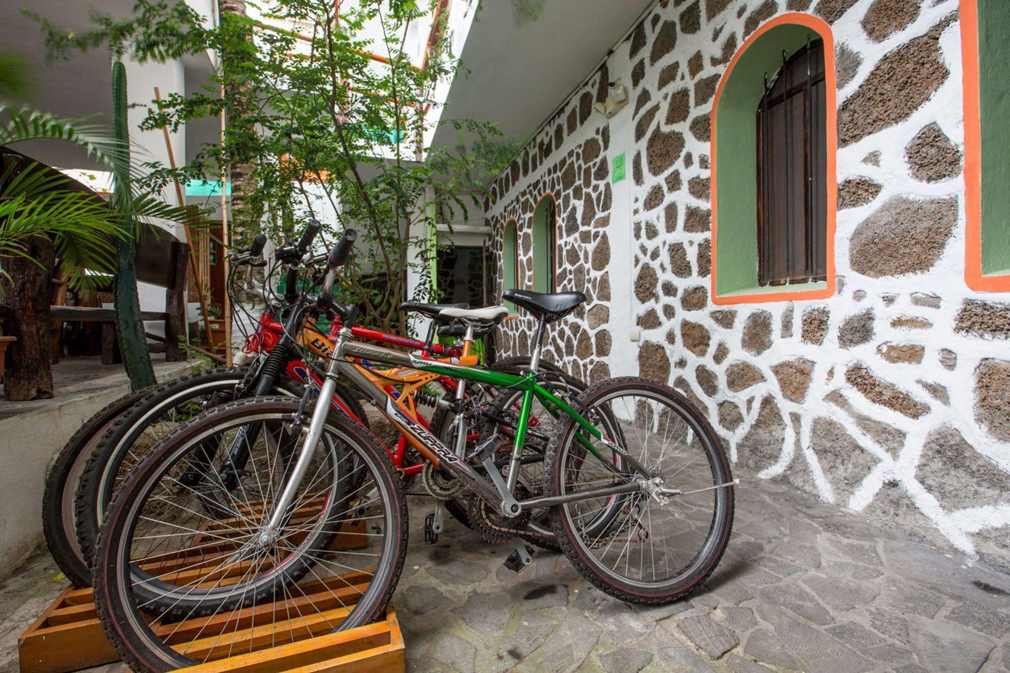 Galapagos Dreams Hotel Puerto Ayora  Exterior photo